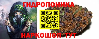 стаф Лесосибирск
