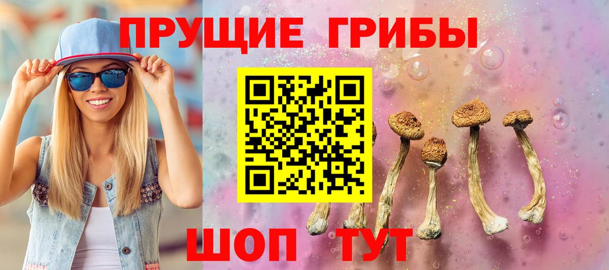 Волжск  Псилоцибиновые грибы мухоморы  Вход с VPN  Псилоцибиновые грибы Psilocybe 